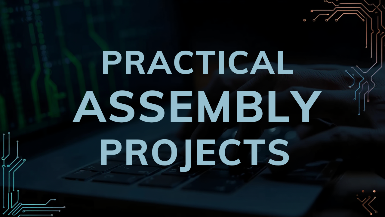 Practical Assembly Projects